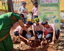 Mangaluru: Bank of Baroda holds tree planting programme in its move towards green environment